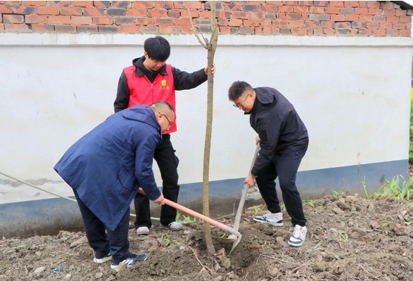 微信截图_20250319163002.png